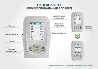 СКЭНАР-1-НТ (исполнение 01)  в Реутове купить Медицинская техника - denasosteo.ru 